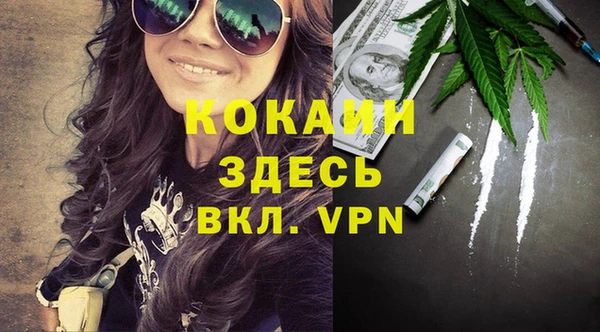 крисы Армянск