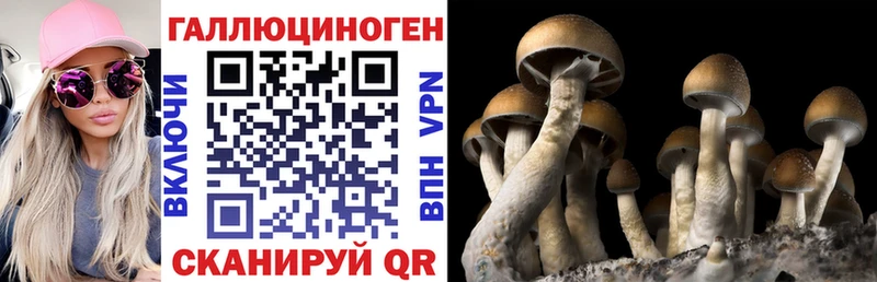 купить наркоту  OMG ссылка  Псилоцибиновые грибы ЛСД  Сердобск 